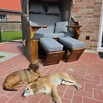 Casa de Férias Moor Huus Auszeit Greetsiel