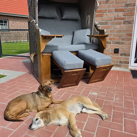 Nyaraló Moor Huus Auszeit Greetsiel