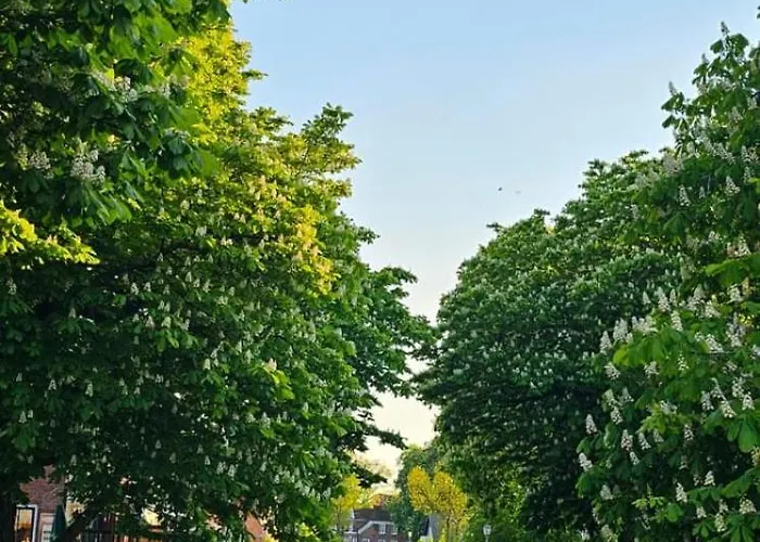 Moor Huus Auszeit Greetsiel